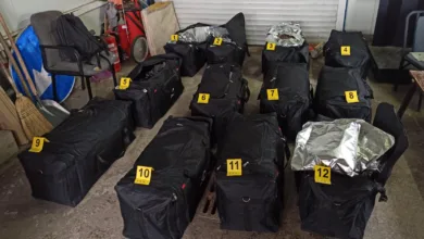 Više od 150 kilograma marihuane zaplenjeno na prelazu Preševo 2 drogatorbe