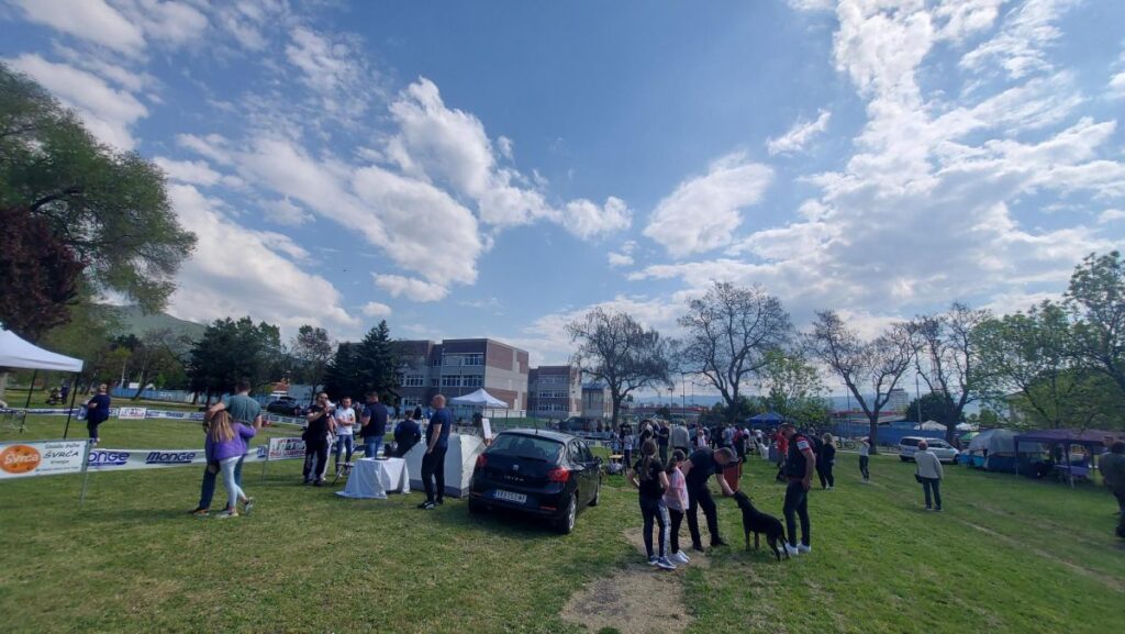 Otvorena prvomajska Međunarodna izložba pasa u Vranju 5 13857 JL38iqGcHRSH 1200