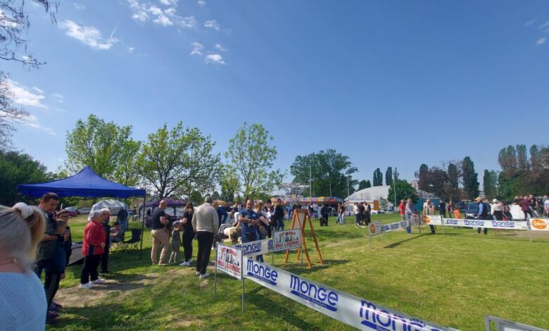 Otvorena prvomajska Međunarodna izložba pasa u Vranju 1 13857 Zp5B5knYAp13 1200