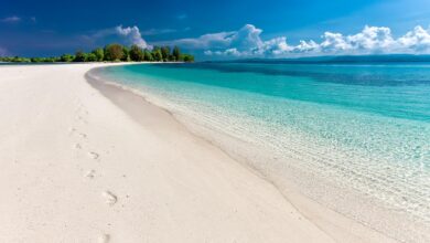 1746696383903 beach 6292382 1280