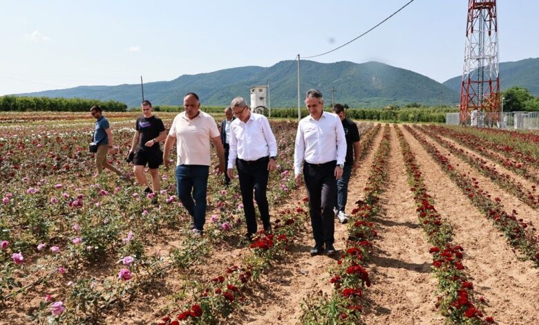 Ministar poljoprivrede Glamočić posetio domaćinstva u Vrtogošu 1 13931 Xgu5e0CRMeZf 1200