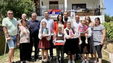 main webp auto generated jelena bujanovac140625