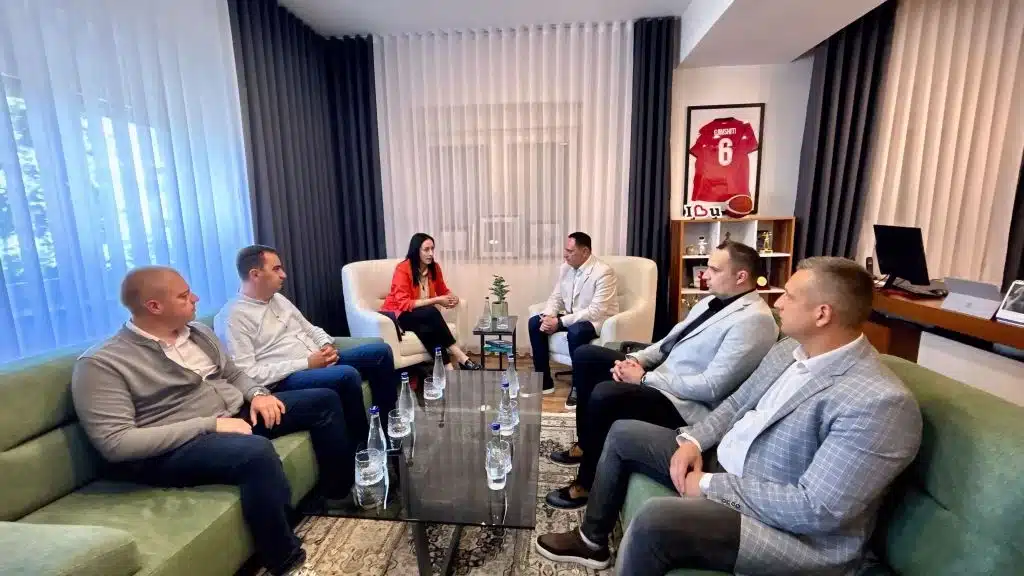 Ministarka za brigu o porodici i demografiju obišla višečlanu porodicu u selu Spančevac 4 main webp auto generated jelena bujanovac140625 5