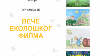 13979 fhY255hYqal8 1200