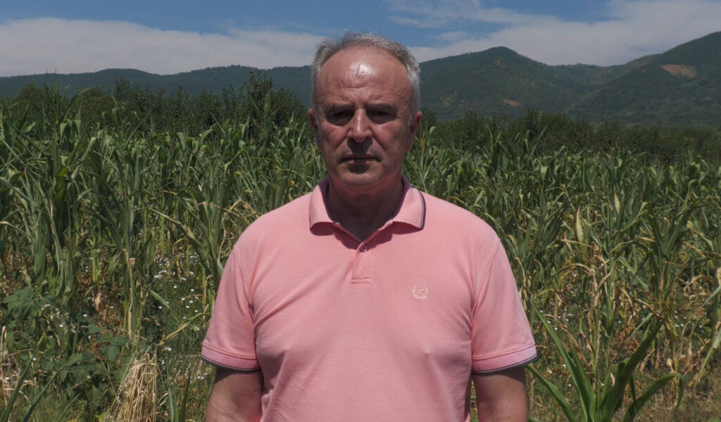 Tomić: Zbog poplava i suša nema šta da se očekuje od prinosa kukuruza 2 dragan tomic