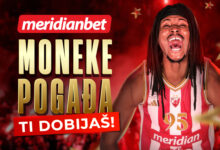 Moneke vizual