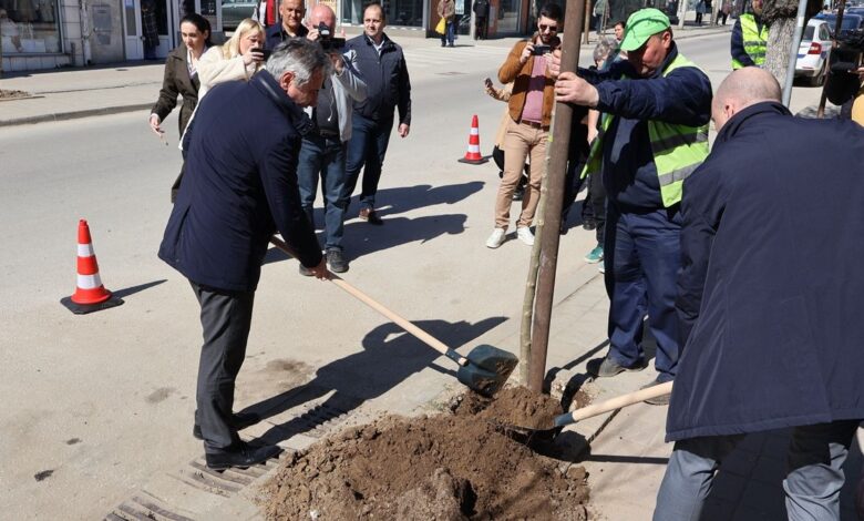 14402 Z32SdyBfaPU6 1200