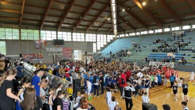 minibasketfest