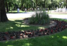 park