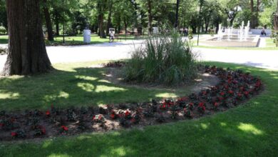park