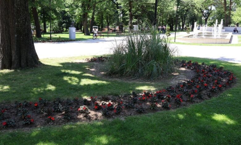 park