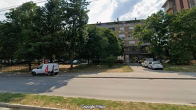 trgnemanjica