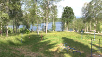 vlasinskojezero